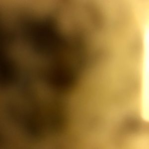 Meet your Posher, Krystina